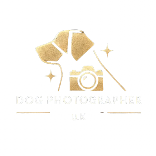 Dog photographer